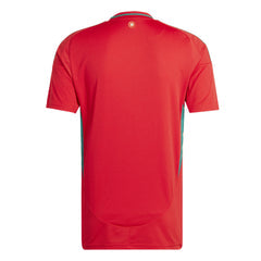 Wales Home Soccer Jersey Euro 2024/25 topsoccerjerseys.com