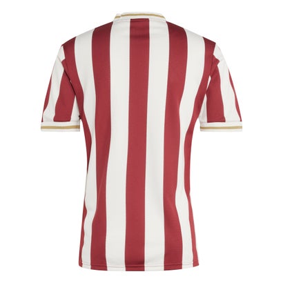 1. FC Nuremberg Soccer Jersey 2025/26-125th Anniversary Go Game Wear